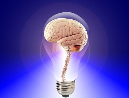 body_brain_light_bulb_intelligence