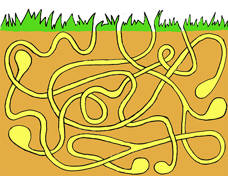 body_burrow.png