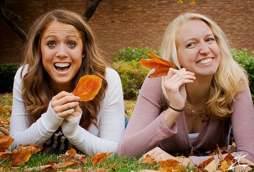top 10 harvard essays body_college_roommates