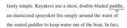 body_comma_splice_quest..png
