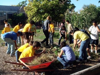 university of california transfer essay prompts body_communityservice-1