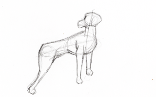 11 Easy Steps for How to Draw a Dog