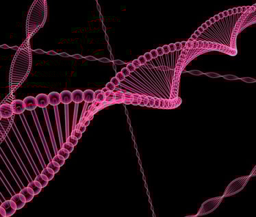 body_dna.jpg