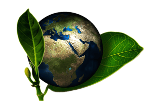 body_earth.png