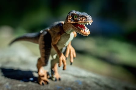 act writing essay prompts body_essayvelociraptor
