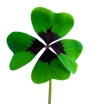 body_four_leaf_clover_lucky