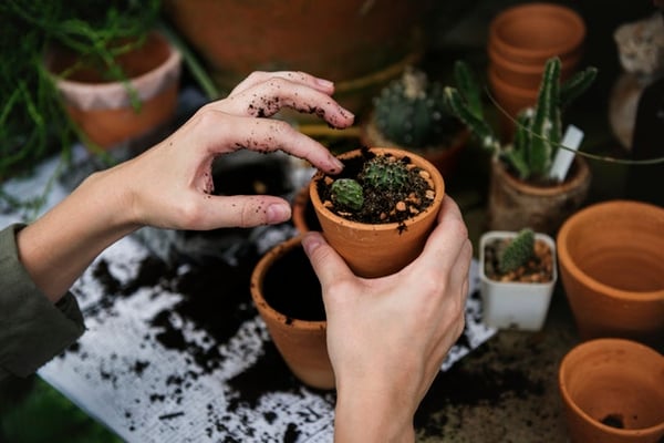 body_gardening