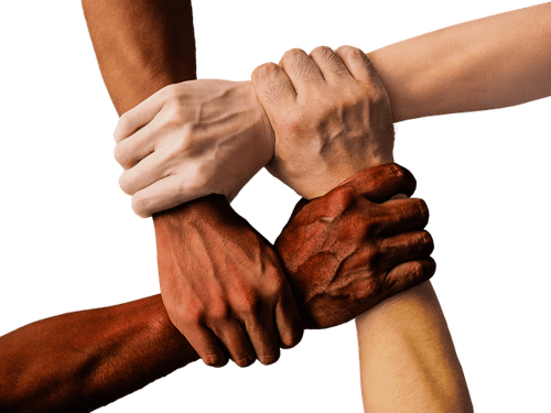 u of michigan supplemental essay body_hands_linked_community