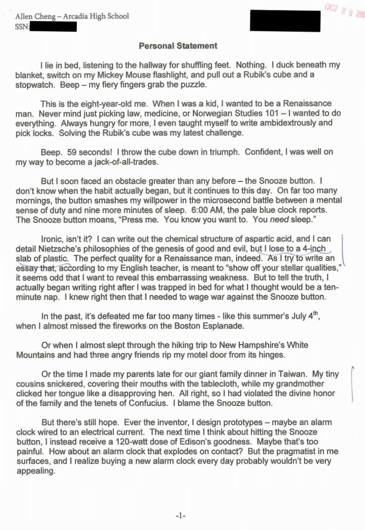 Personal statement conclusion sample Personal statement conclusion sample image