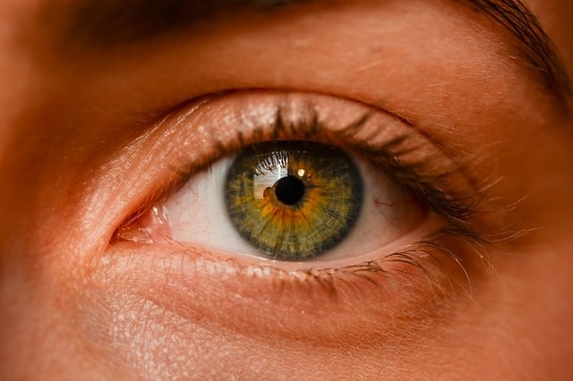 The Science Of Hazel Eyes