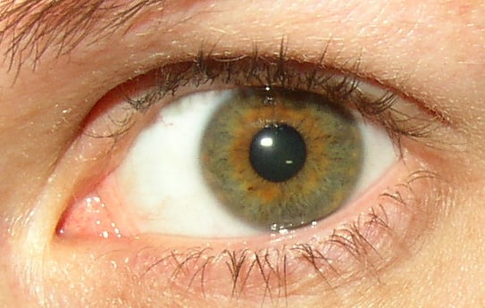 Change hazel colour eyes 