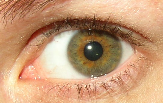 Hazel where from do eyes come Hazel Eyes: