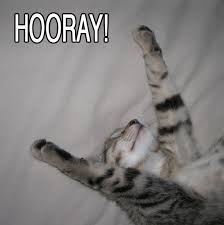 body_hooray-1.jpg body_hooray-1.jpg