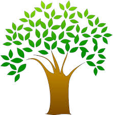 body_ibbioecology.jpeg body_ibbioecology.jpeg
