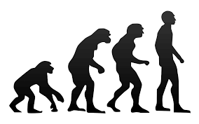 body_ibbioevolution.png body_ibbioevolution.png
