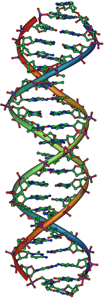 ib-biology-syllabus-definitions