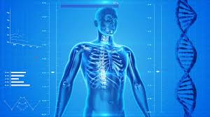 body_ibbiophys.jpeg body_ibbiophys.jpeg