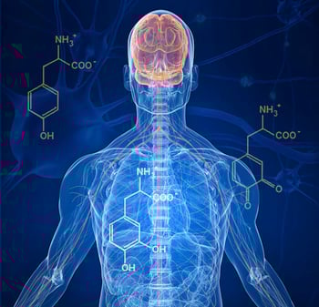 body_ibchemmedicine.jpg body_ibchemmedicine.jpg
