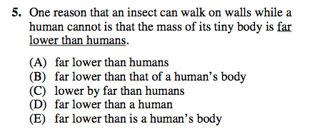 Illogical essay 07 image