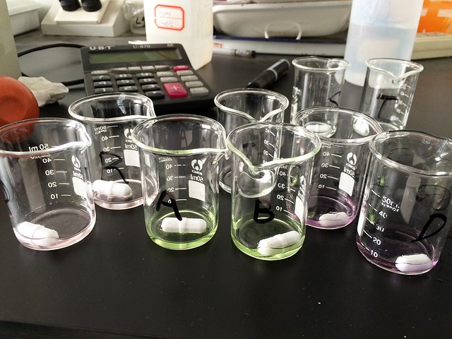 body_lab.jpg body_lab.jpg