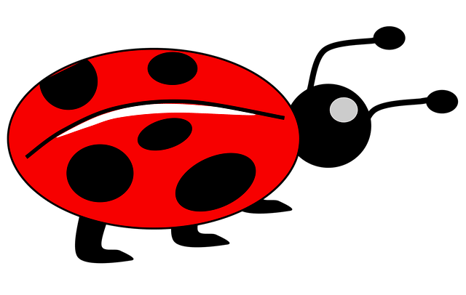 body_ladybug
