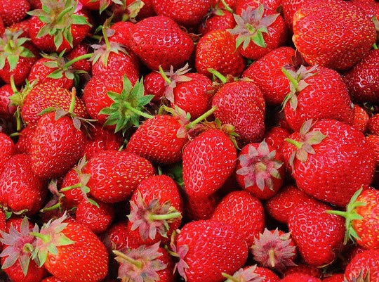 nyu essay prompt example body_nyustrawberryfest