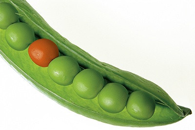 body_peas.jpg body_peas.jpg