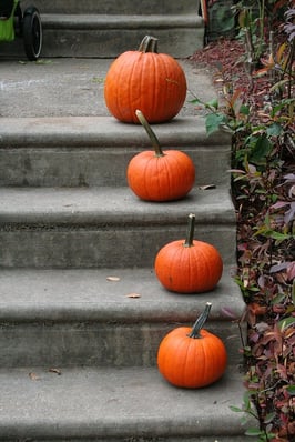 body_pumpkins_steps.jpg