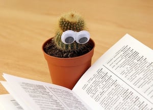 body_readingcactus-2.jpg