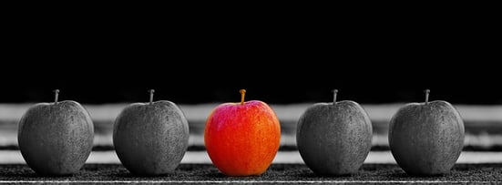 family diversity college essay body_red_apple_gray