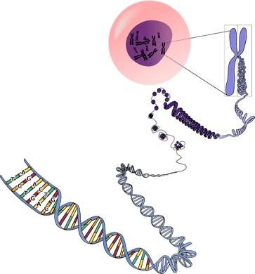 body_rna-cc0