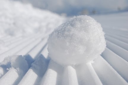 body_snowball.jpg body_snowball.jpg