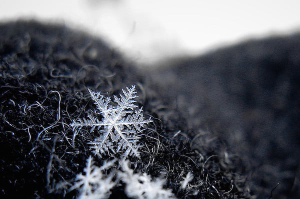 upenn application essay sample body_snowflake-1
