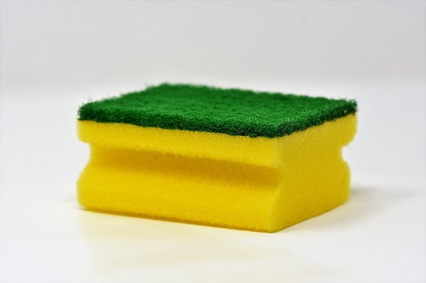 body_sponge