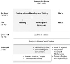 How Is the New SAT Scored?
