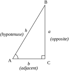 body_trigonometry_trianglesvg.png