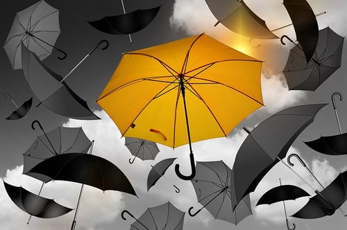 top 10 harvard essays body_yellow_umbrella