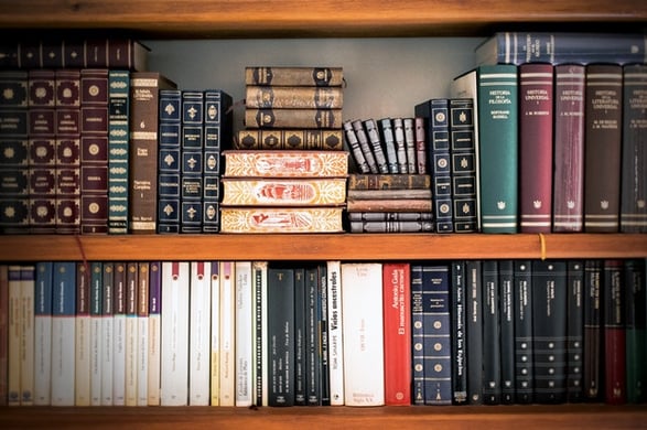 The 11 Best Pre Law Schools
