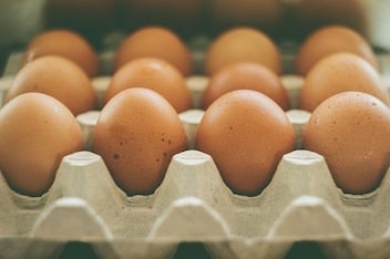 eggs-933722_640.jpg