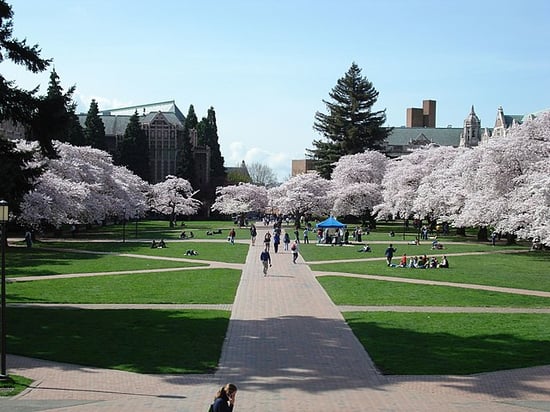 feature-universityofwashington-wikimedia-cody