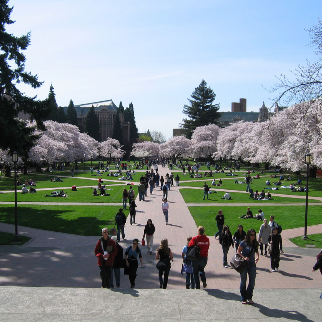 university of washington application essay