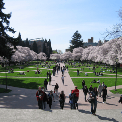 essays needed for university of washington feature_UW