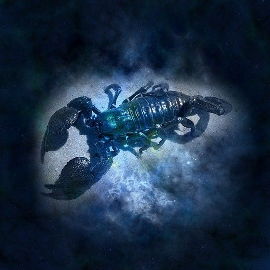 Cancer Moon Sign Personality and Relationships Cancer Moon Sign Personality and Relationships
