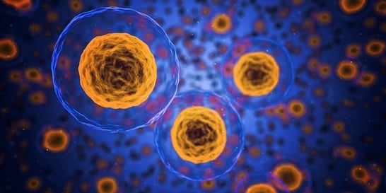 Cell Theory Overview Parts Expii