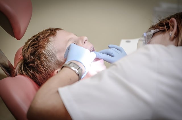 the-13-steps-to-becoming-a-dentist