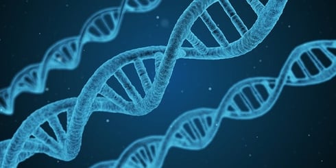 ap bio frq strategies feature_dna