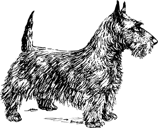 Featured image of post Dog Sitting Position Drawing Steps of dog drawing 2 pencil shading