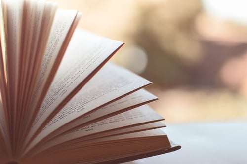 31 LITERARY DEVICES YOU MUST KNOW