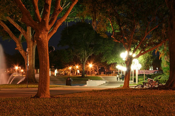 University of Central Florida | UCF's Essay | CollegeVine