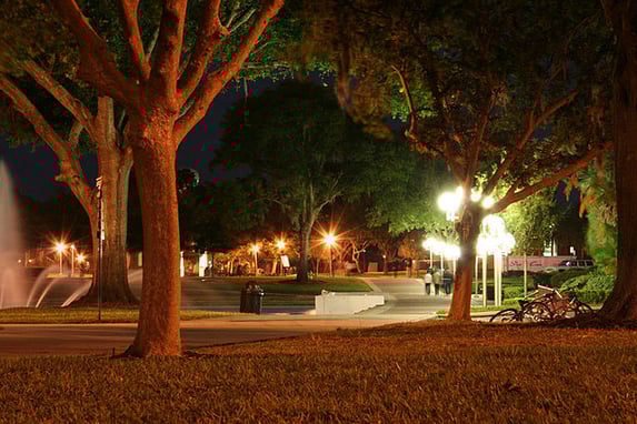 5 Tips to Write an Excellent UCF Application Essay ucf essays